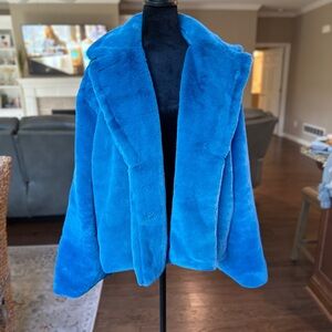 Vibrant Blue Teddy Jacket